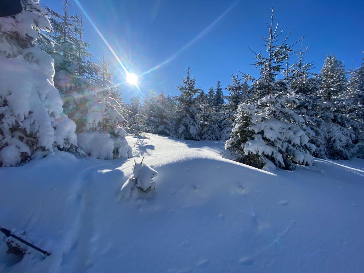 Top Fewo Mit Sommercard Winterberg Esterno foto