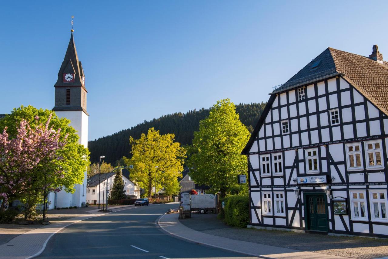 Top Fewo Mit Sommercard Winterberg Esterno foto