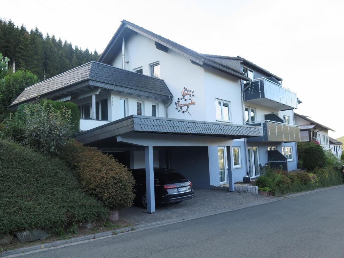 Top Fewo Mit Sommercard Winterberg Esterno foto